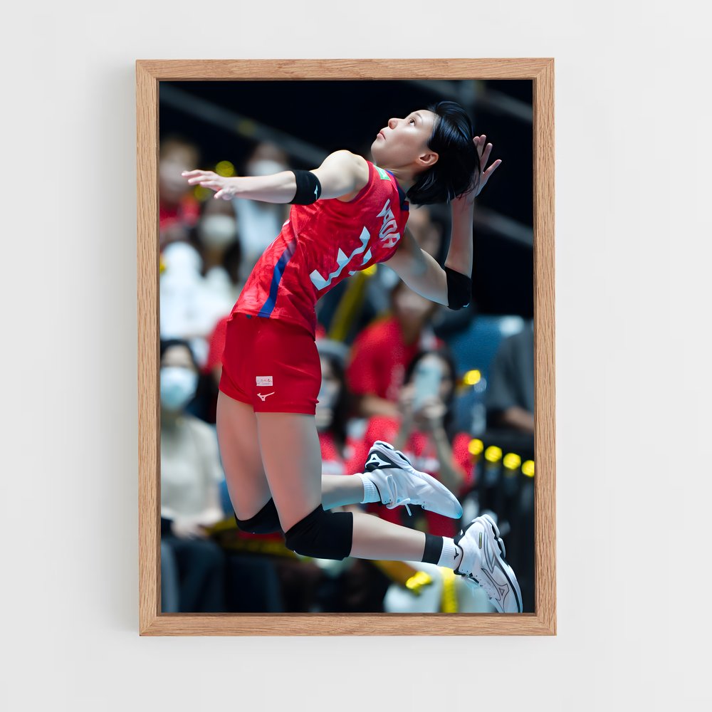 Poster Volleyball de league internationaux (vue 4)